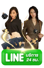 wow639 ติดต่อ